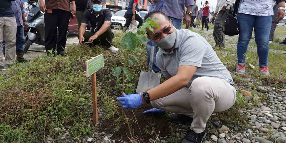 Senior Manager Enviromental PTFI, Gesang Setyadi  secara  simbolis menanam pohon pada peringatan hari Lingkungan Hidup Sedunia, Sabtu (5/6/2021). Foto: Istimewa